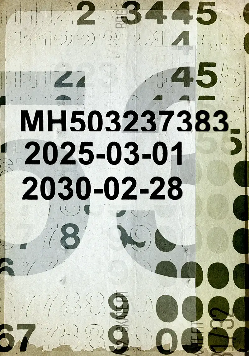 Artwork titled Common Characters (260503-06)